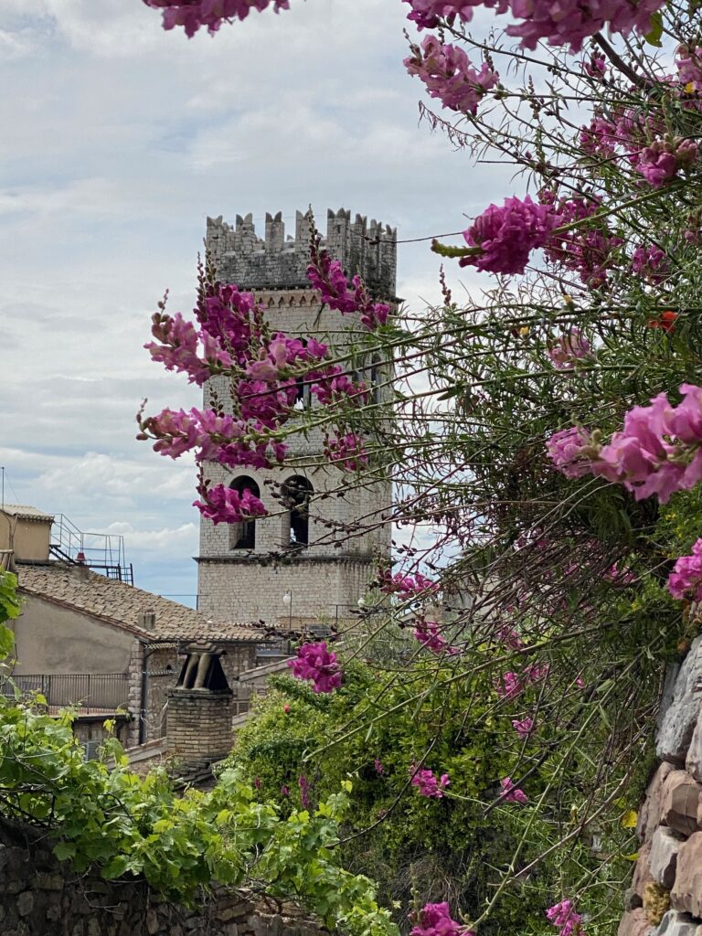 Assisi Bell tower.