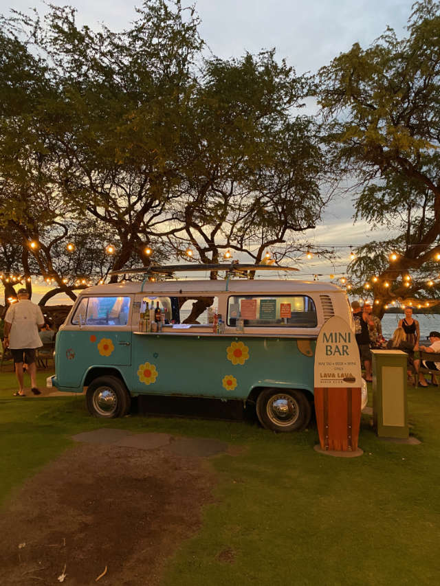 A blue van under Hawaiian trees.